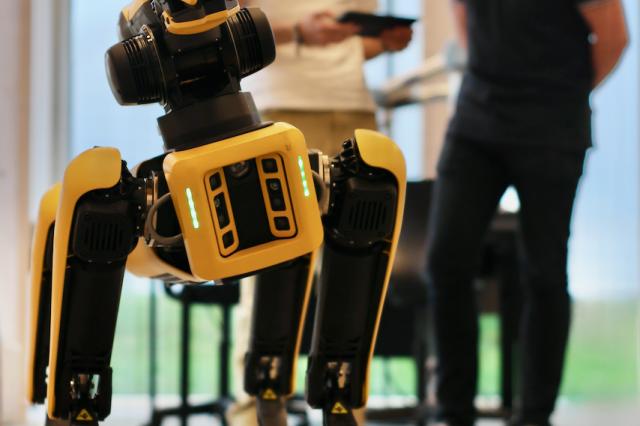 Robotic Dog and PhDs